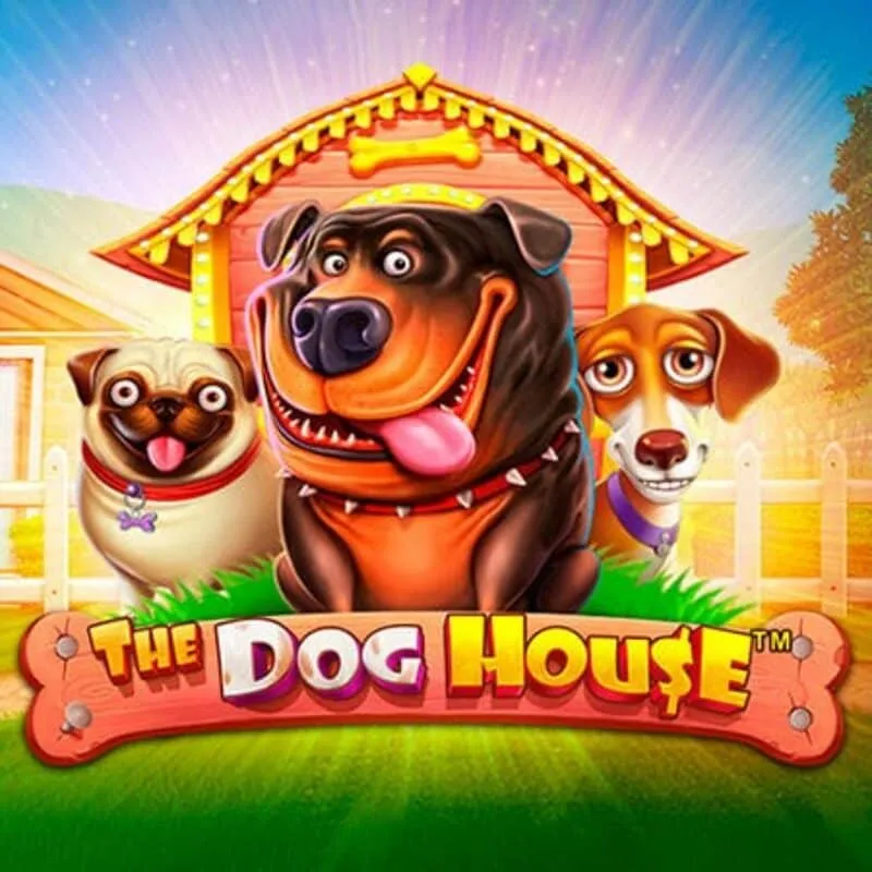 The Dog House Reels